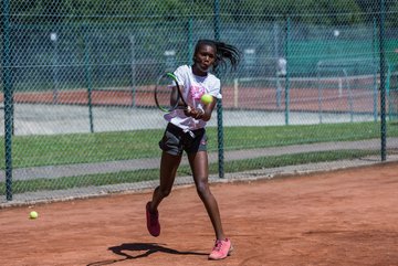 Noma Noha Akugue 296 - Amato Caffe Open